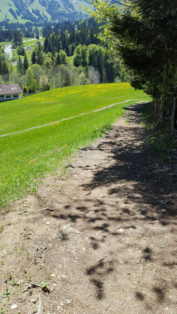 Wanderweg zum Wertacher Hörnle