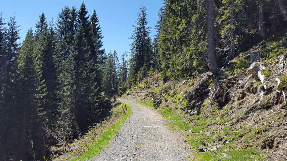 Wanderweg zum Wertacher Hörnle