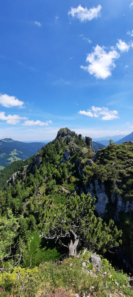 Aussicht auf den Sorgschrofen vom Zinken
