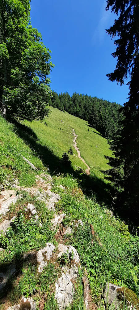 Wanderweg zum Zinken
