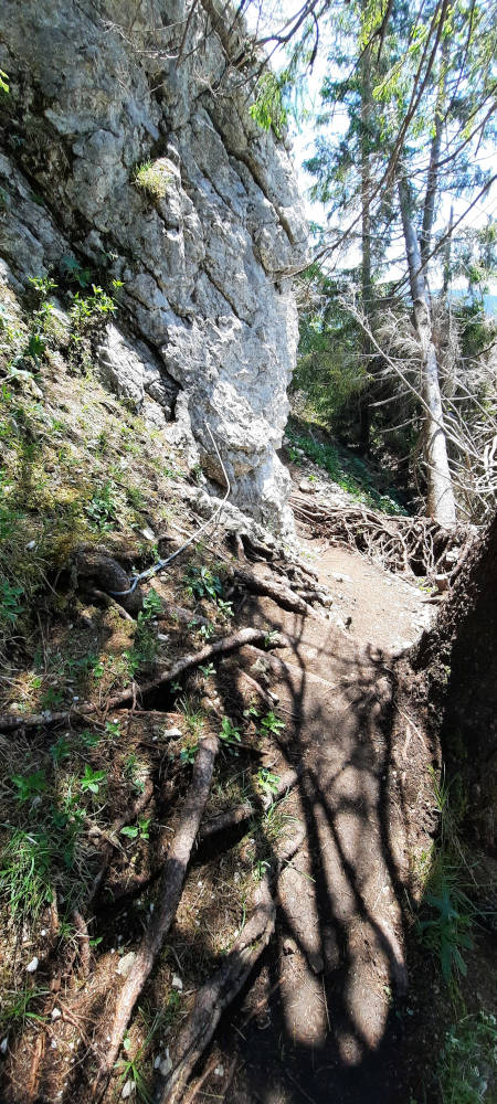 Drahtseilsicherung auf dem Wanderweg zum Zinken