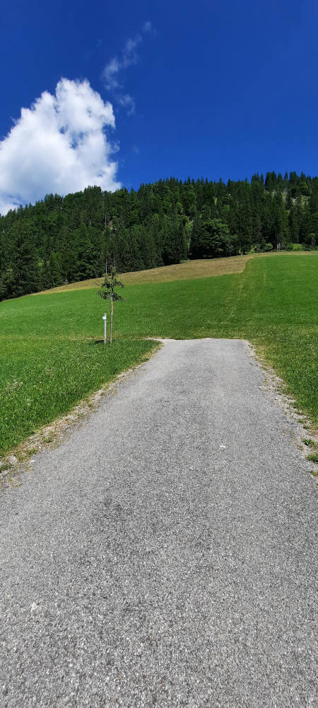 Wanderweg zum Zinken bei den Zehrerhöfen